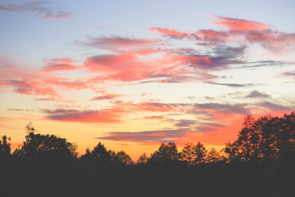 Free Image of Sunset With Trees and Clouds 