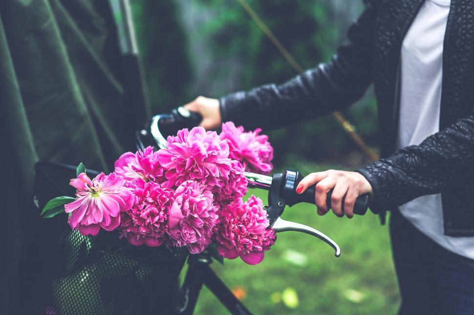 Free Image of Person Holding a Bicycle With Flowers 