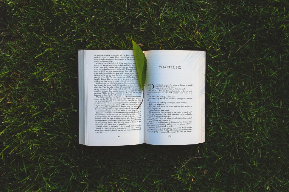 Free Image of Open Book With Green Leaf 