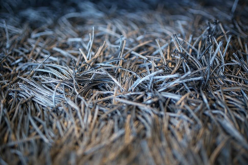 Free Image of Close Up View of a Grass Field 