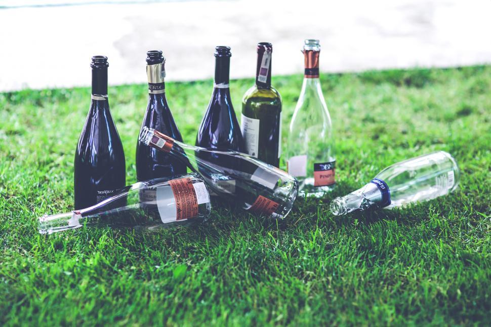 Free Image of Group of Wine Bottles on Lush Green Field 