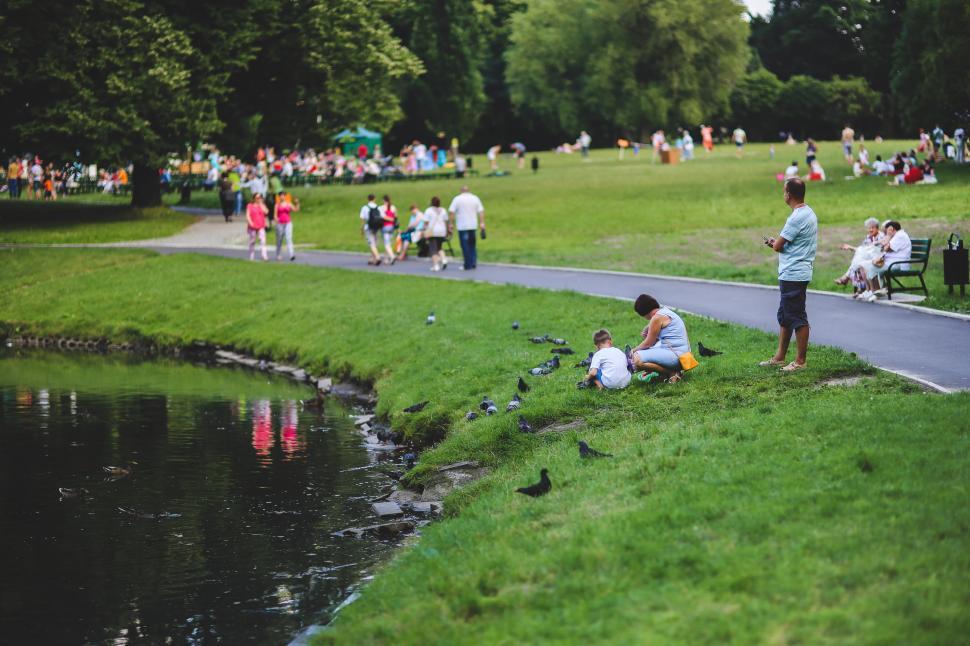 Free Image of Coast Crowd Edge Garden Green Lawn Park Path Pond Riverside Trees fairy-tale grass nature people sunday walk water waterside grass field summer croquet ball ball landscape meadow outdoors park sky spring outdoor croquet equipment day people 