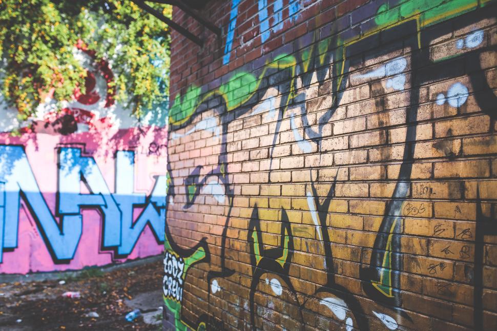 Free Image of Graffiti-Covered Brick Wall Next to a Tree 