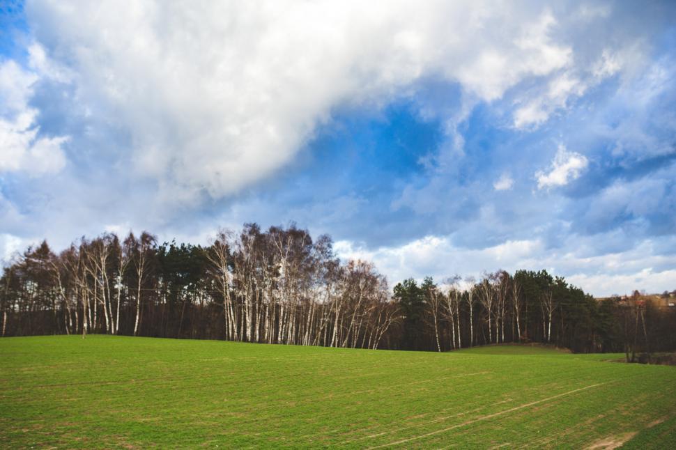 Free Image of Green Field With Trees in Background 