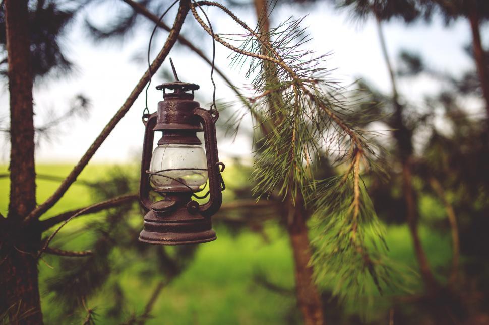 Free Image of Lantern Hanging From Tree in Field 