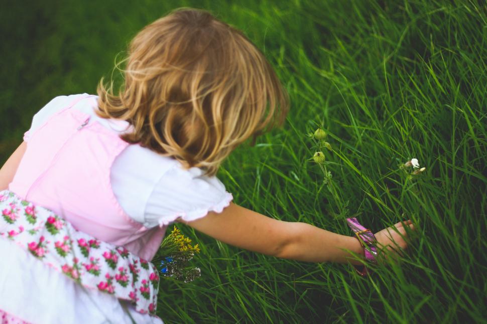 Free Image of Little Girl in Dress Reaching for Flower 