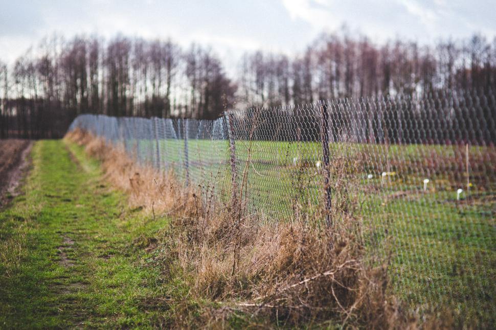 Free Image of Grassy Field With Fence and Trees 