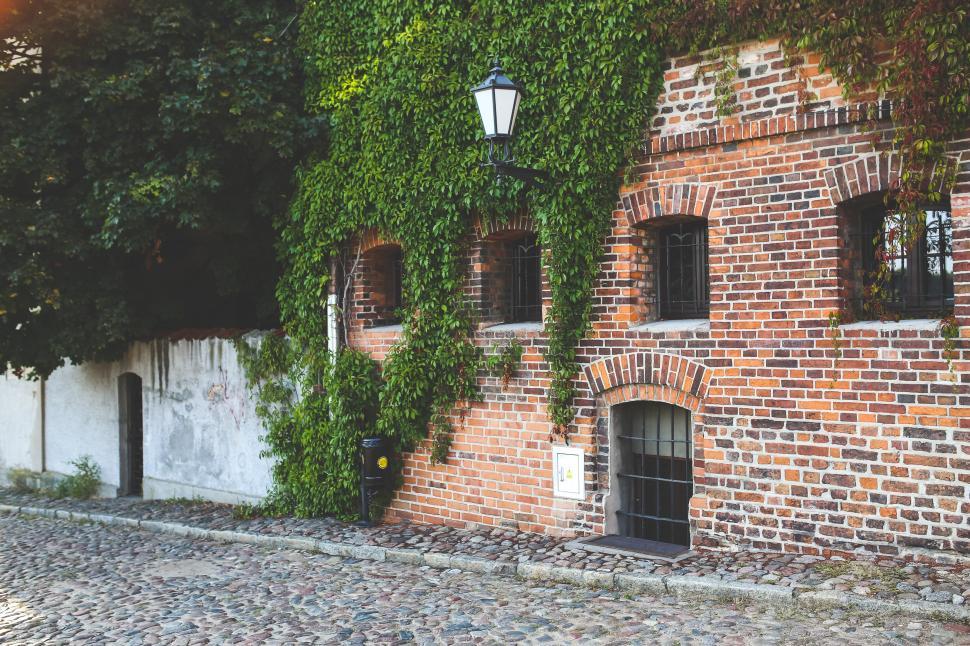 Free Image of Brick Building With Ivy Growing 