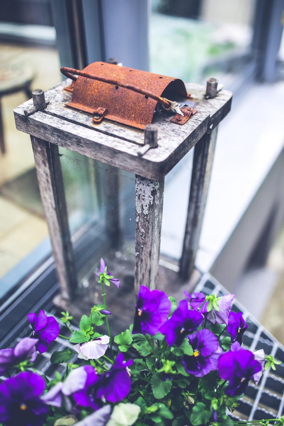Free Image of Purple Flowers in a Basket on Window Sill 