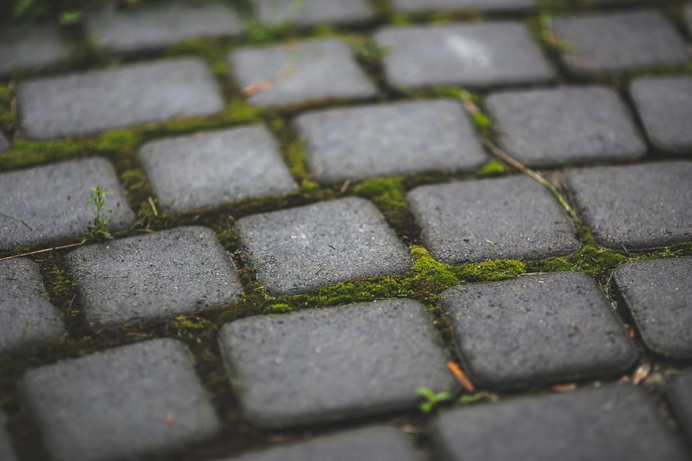 Free Image of Moss-covered Stone Pavement Close Up 