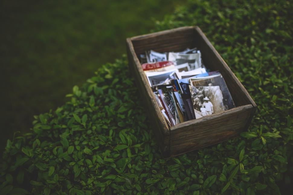 Free Image of Wooden Box Filled With Magazines on Lush Green Field 