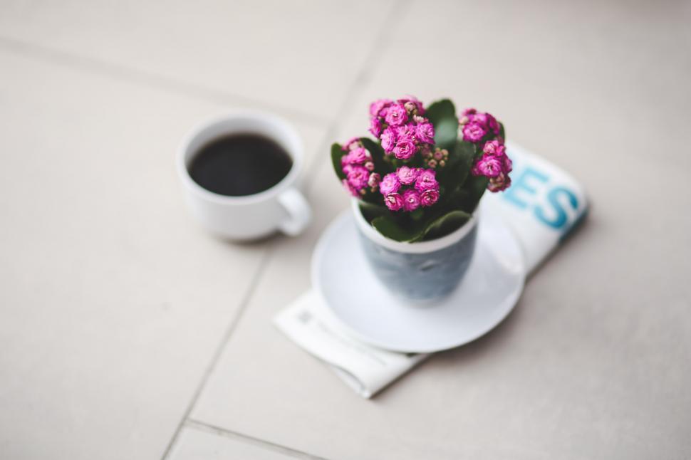 Free Image of A Cup of Coffee and Pink Flowers 