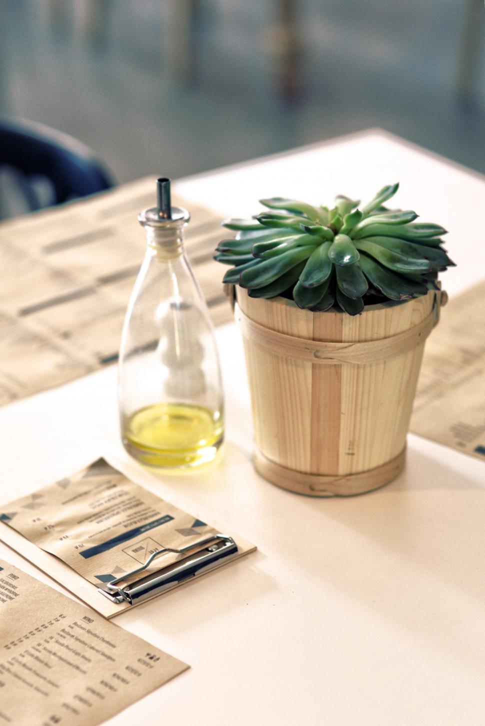 Free Image of Potted Plant on White Table 