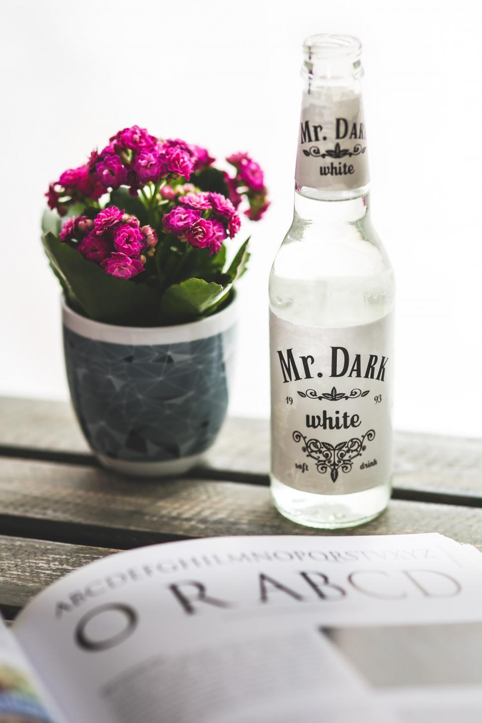 Free Image of Bottle of Mr Dark White Next to Potted Plant 