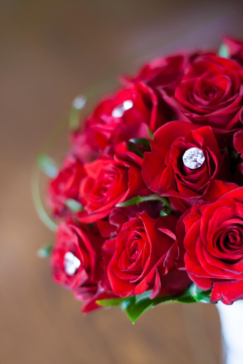 Free Image of Bouquet of Red Roses in White Vase 
