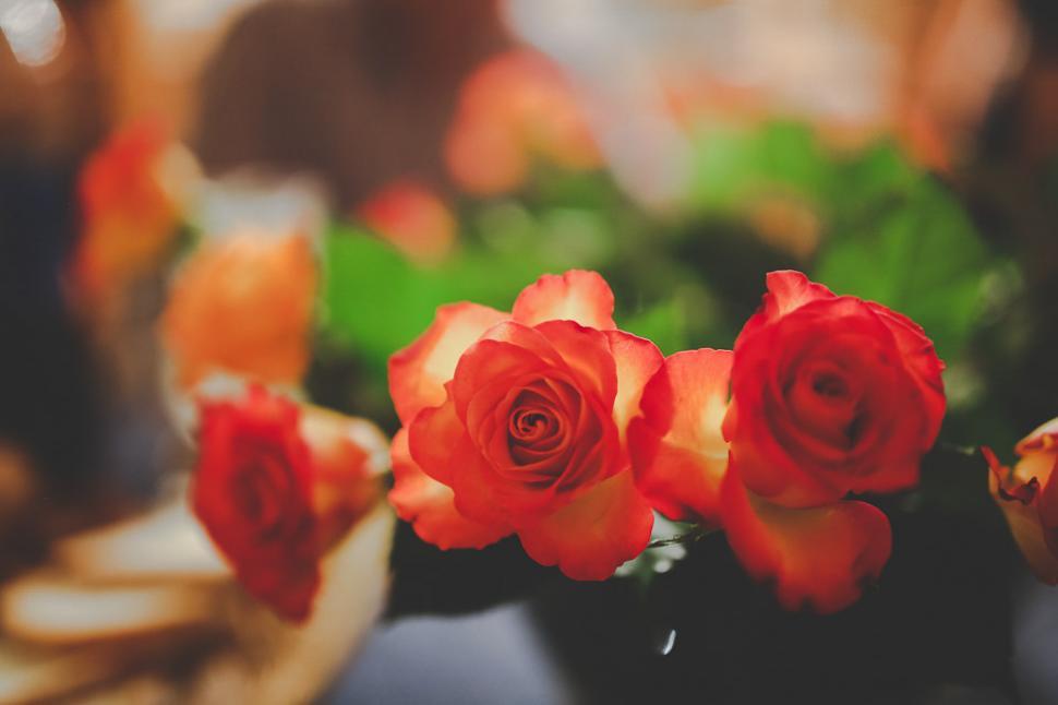Free Image of Three Red Roses in a Black Vase on a Table 