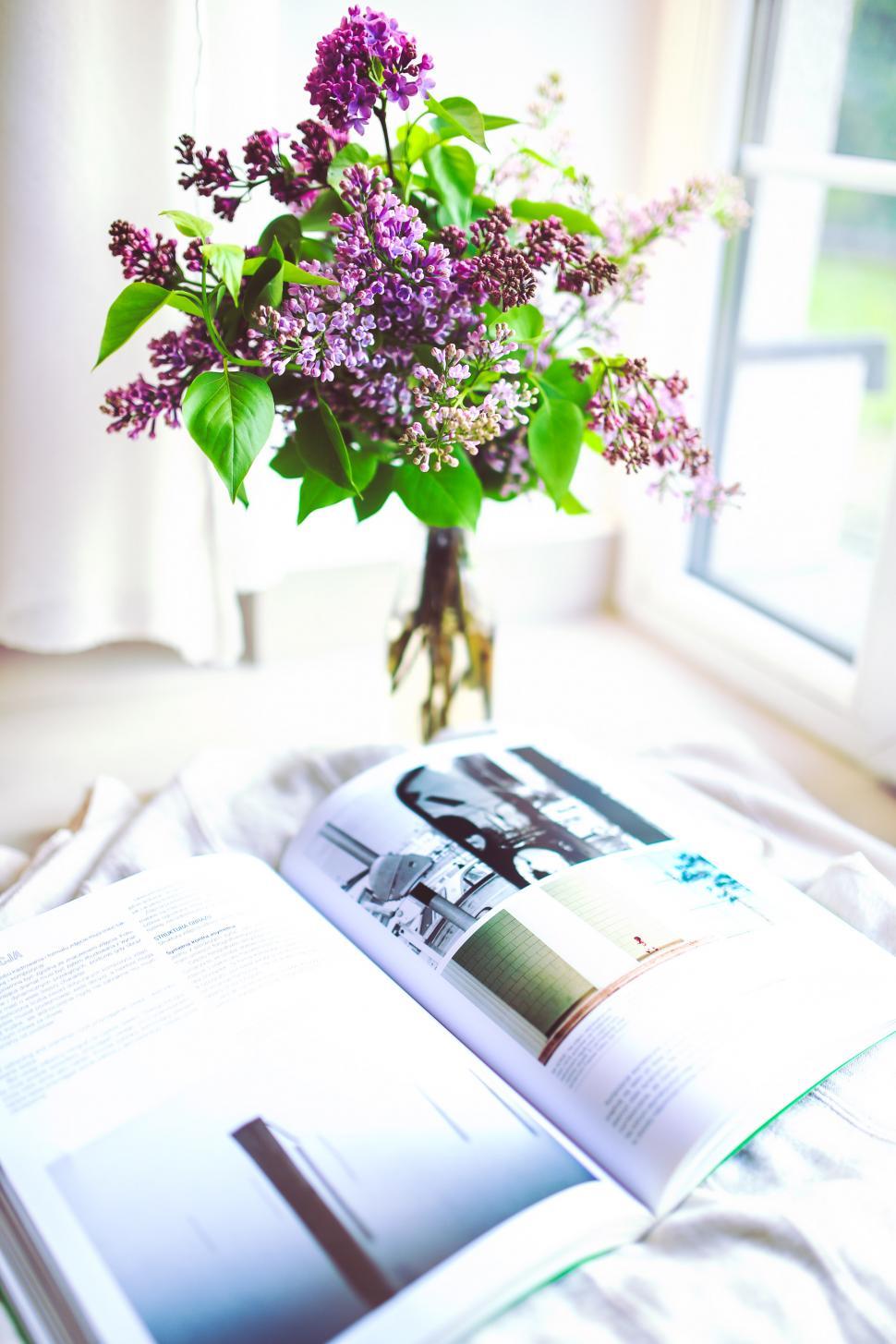 Free Image of Book Decor Decoration Flower Newspaper Plant Sambucus elder elderberry magazine violet business home house 