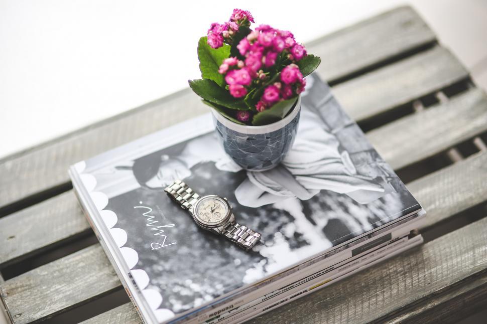 Free Image of Pink Flowers in Flower Pot on Book 