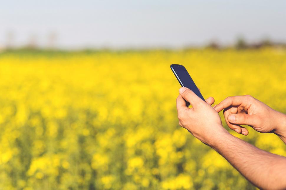 Free Image of Man Holding Cell Phone in Field of Yellow Flowers 
