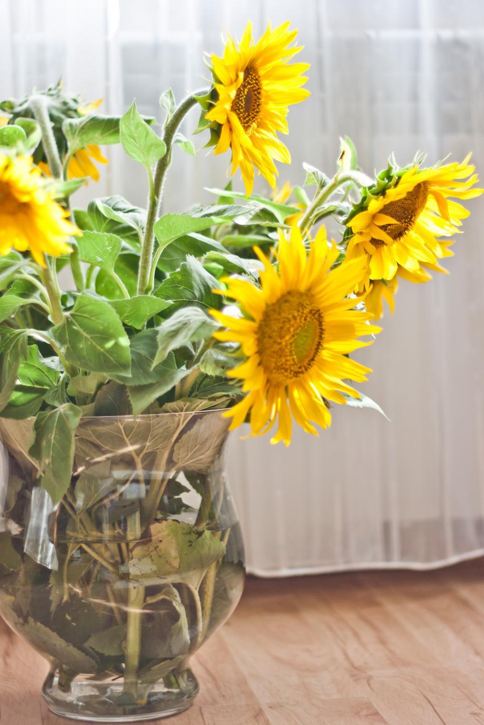 Free Image of Vase Filled With Yellow Flowers on Wooden Floor 