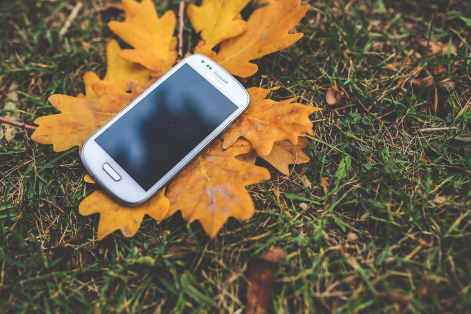 Free Image of Fall Yellow autumn brown galaxy leaf leaves mobile phone samsung screen technology touchscreen 