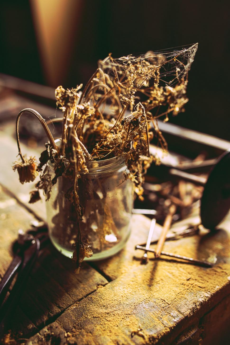 Free Image of Jar of Dried Flowers on Wooden Table 