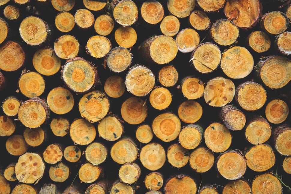 Free Image of Large Pile of Stacked Logs 