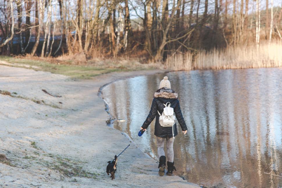 Free Image of Person Walking Dog on Leash Near Lake 