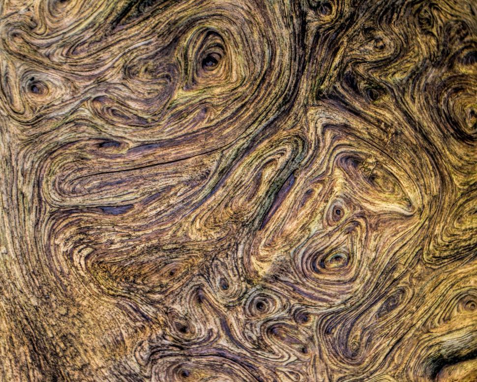 Free Image of Wood texture 