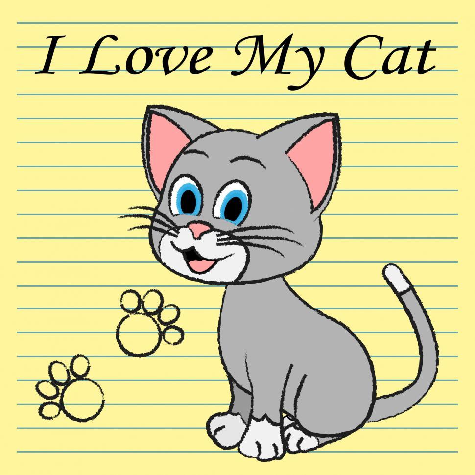 Free Image of Love My Cat Represents Pet Tenderness And Compassion 