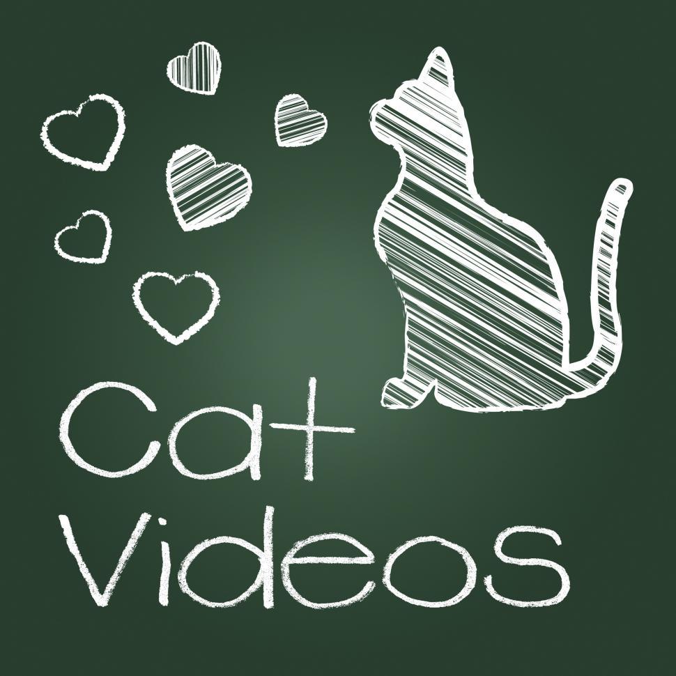 Free Image of Cat Videos Represents Audio Visual And Cats 