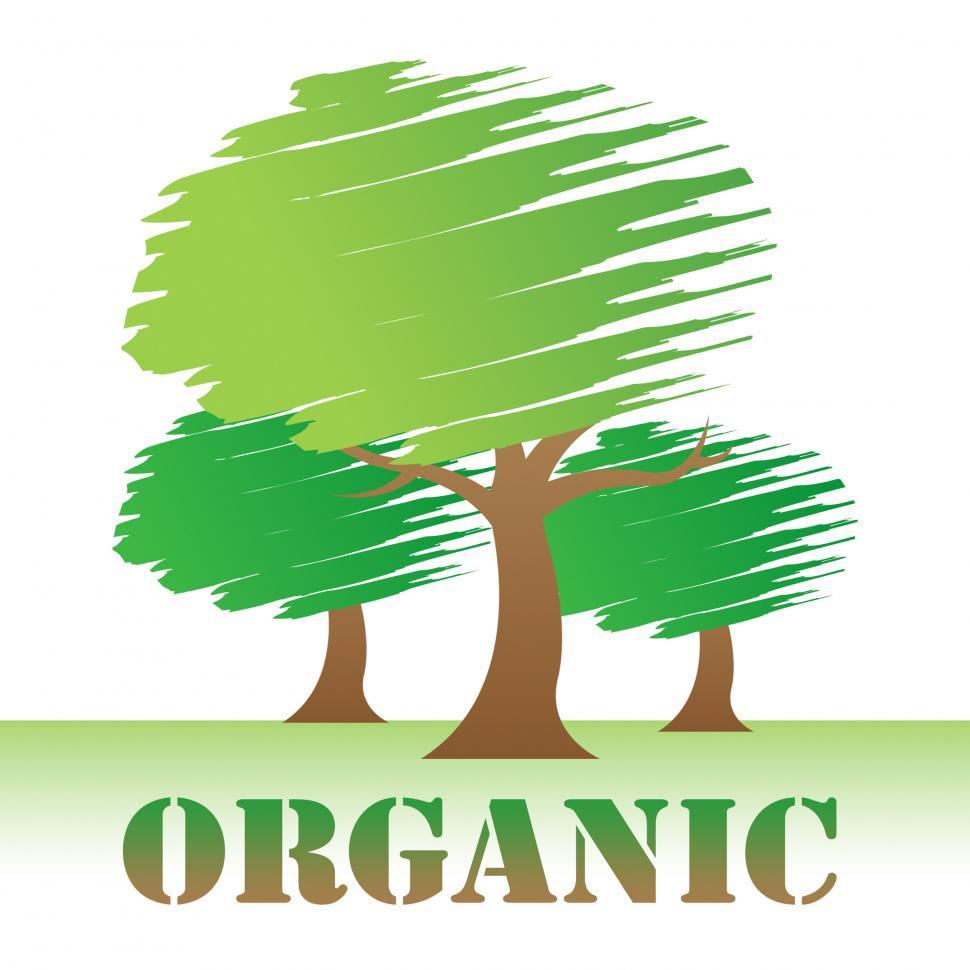 Free Image of Organic Trees Indicates Woods Environment And Reforestation 