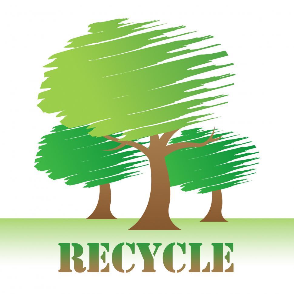 Free Image of Recycle Trees Shows Earth Friendly And Reuse 
