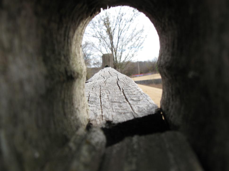 Free Image of Through the Archway 