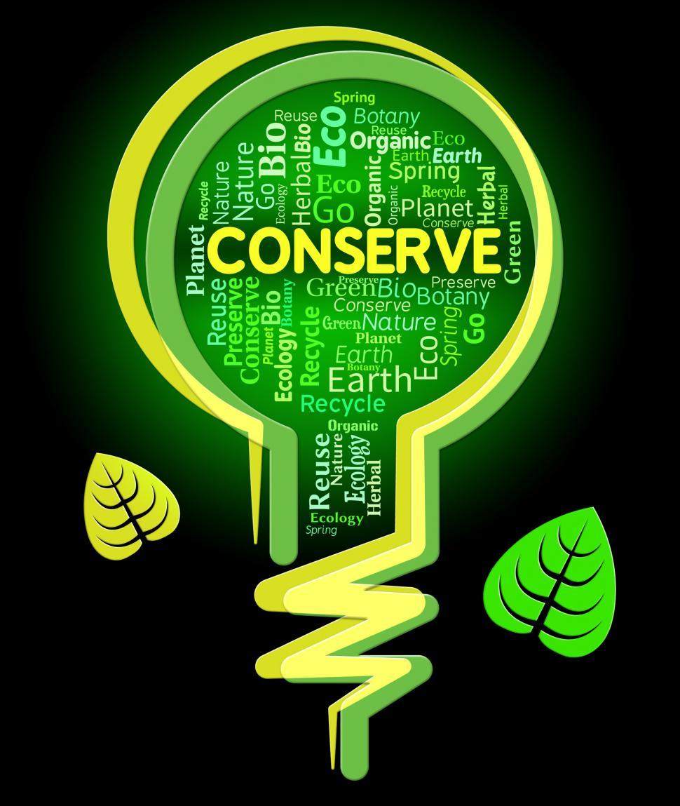 Free Image of Conserve Lightbulb Shows Sustainable Conserving And Protecting 