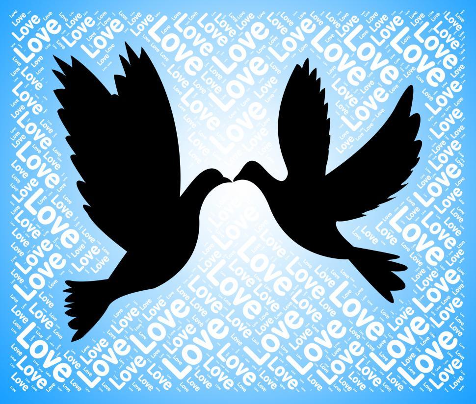 Free Image of Love Doves Means Tenderness Loving And Affection 