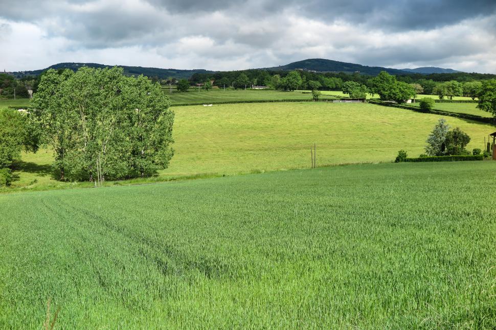 Free Image of Green fields in hills 
