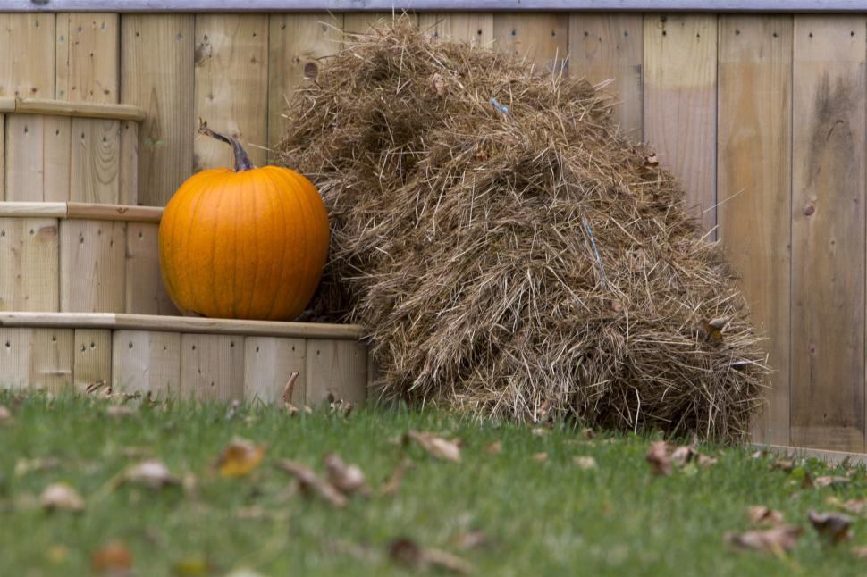 Free Image of Pumpkin and Hay 