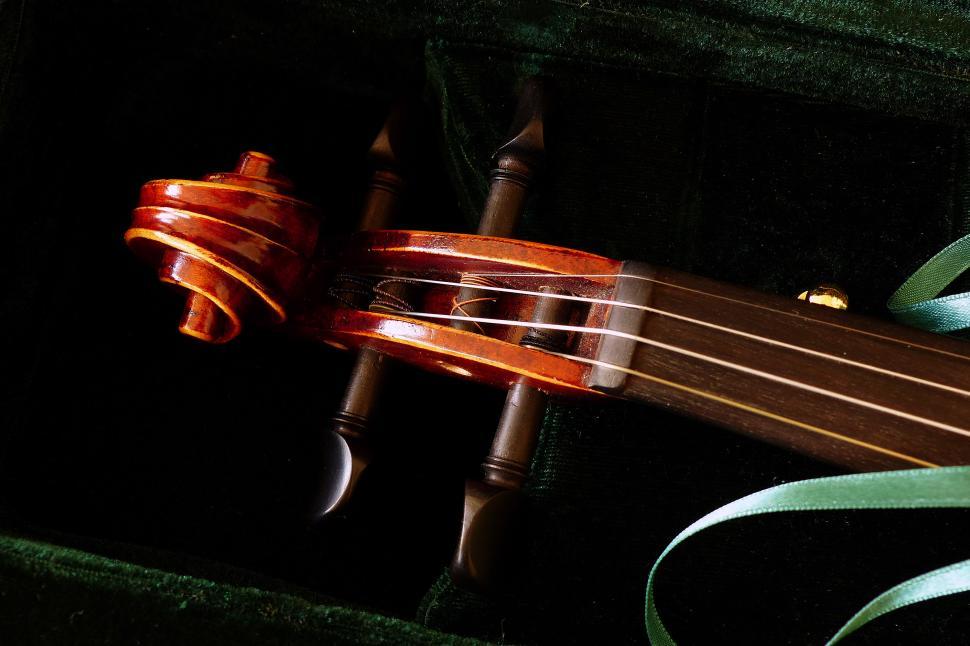 Free Image of Violin Peg Box 