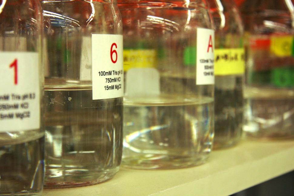 Free Image of chemicals jars shelf liquids laboratory chemistry reagents 