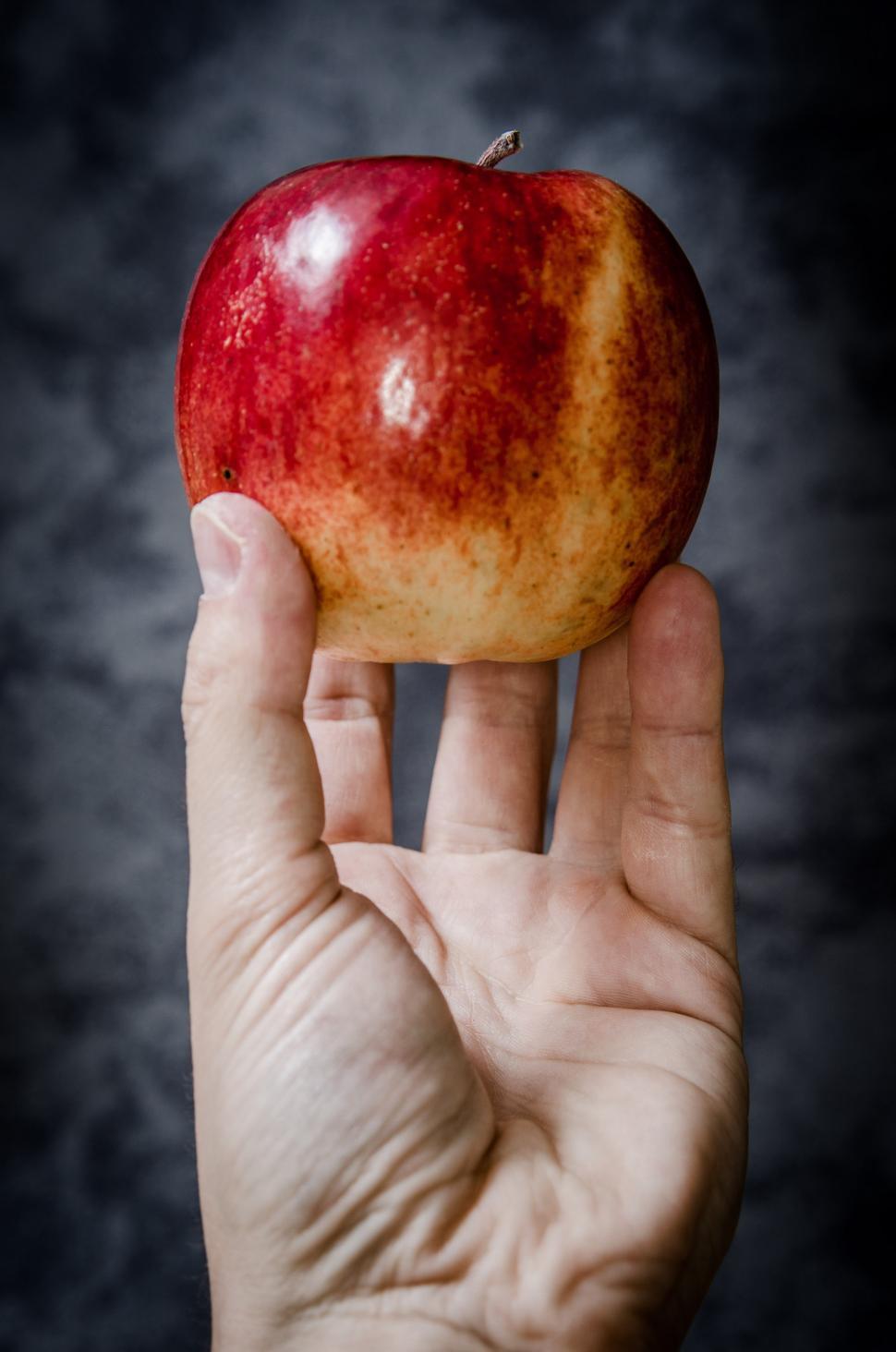 Free Image of Person Holding an Apple 