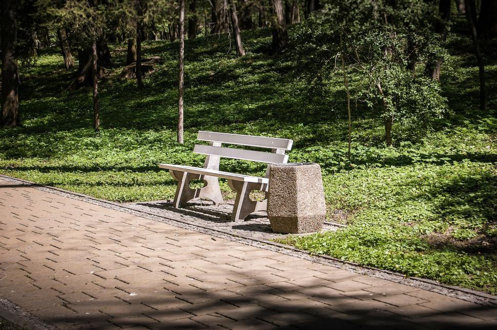 Free Image of Park Bench in the Middle of the Park 