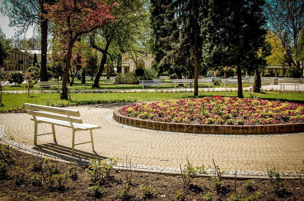 Free Image of Bench and Flower Bed in Park 