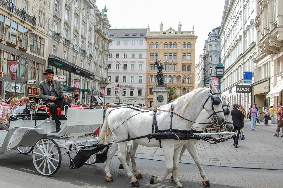 Free Image of White Horse Pulling Carriage Through City Street 