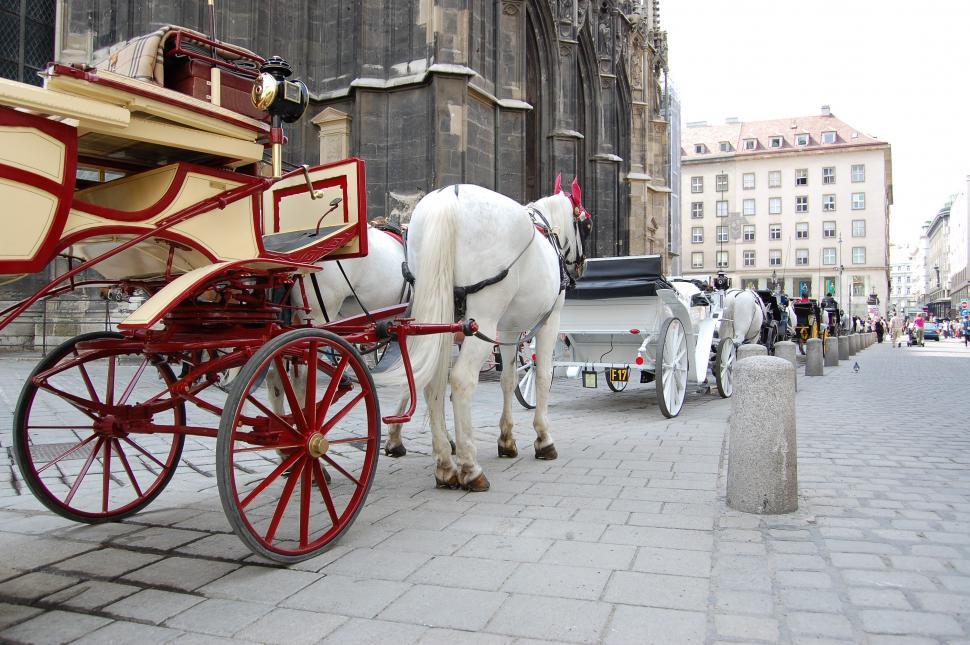 Free Image of Horse Drawn Carriage on City Street 