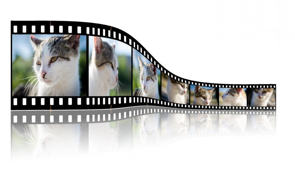 Free Image of Film Strip Featuring Pictures of Cats 