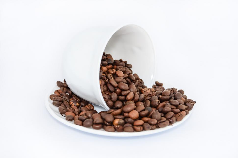 Free Image of White Bowl Filled With Coffee Beans on White Plate 