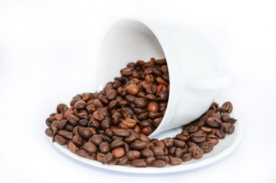 Free Image of White Bowl Filled With Coffee Beans 