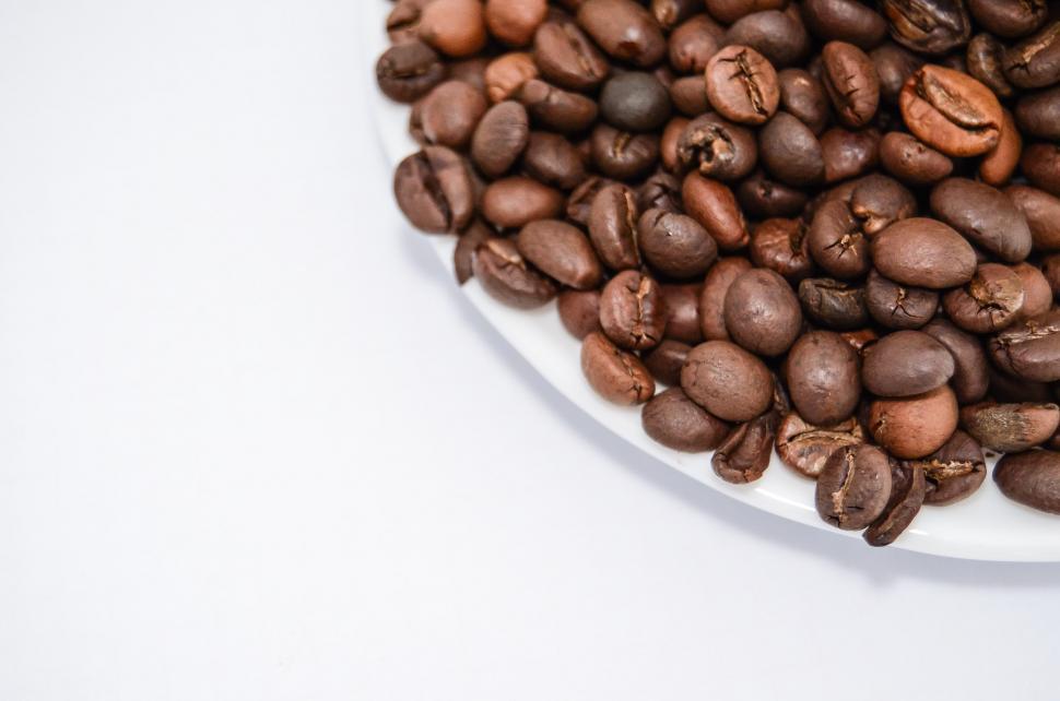 Free Image of White Plate Covered With Coffee Beans 