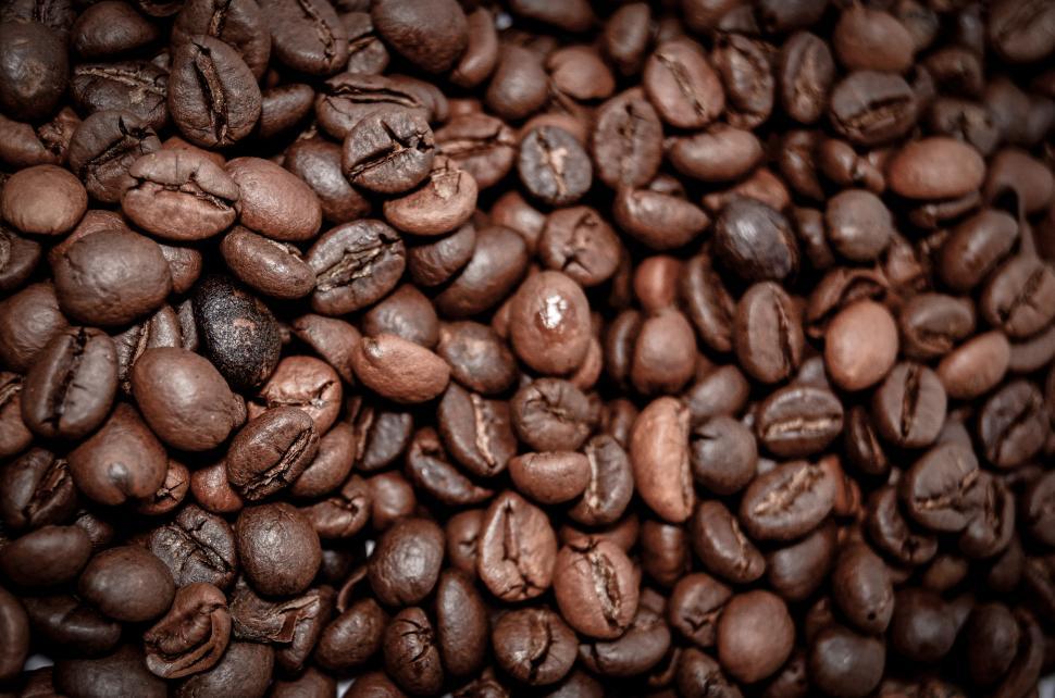 Free Image of seed bean nut coffee brown beans food caffeine cafe espresso roasted close 